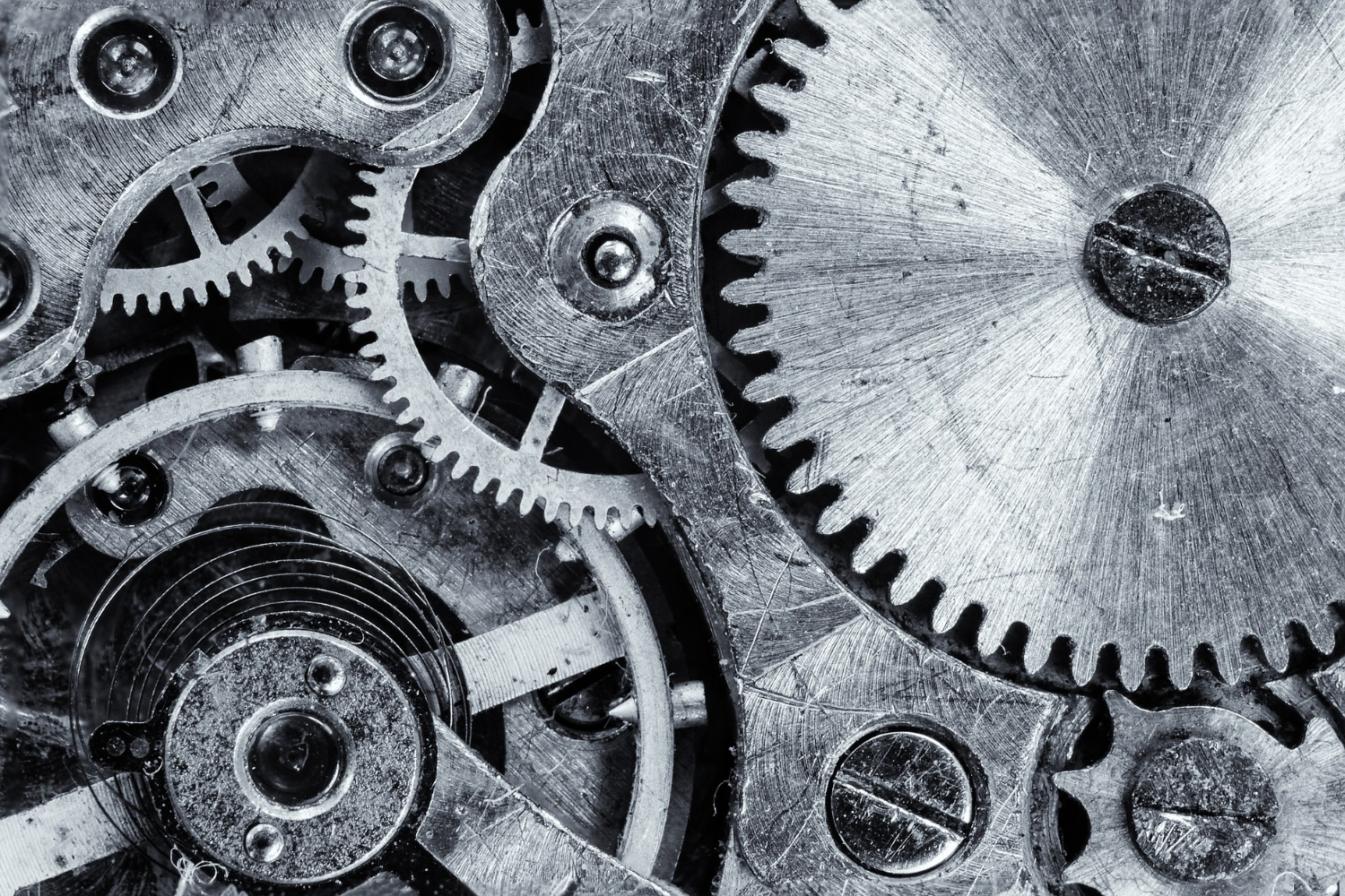 Da Bug a Brilliance: Software Testing Skills