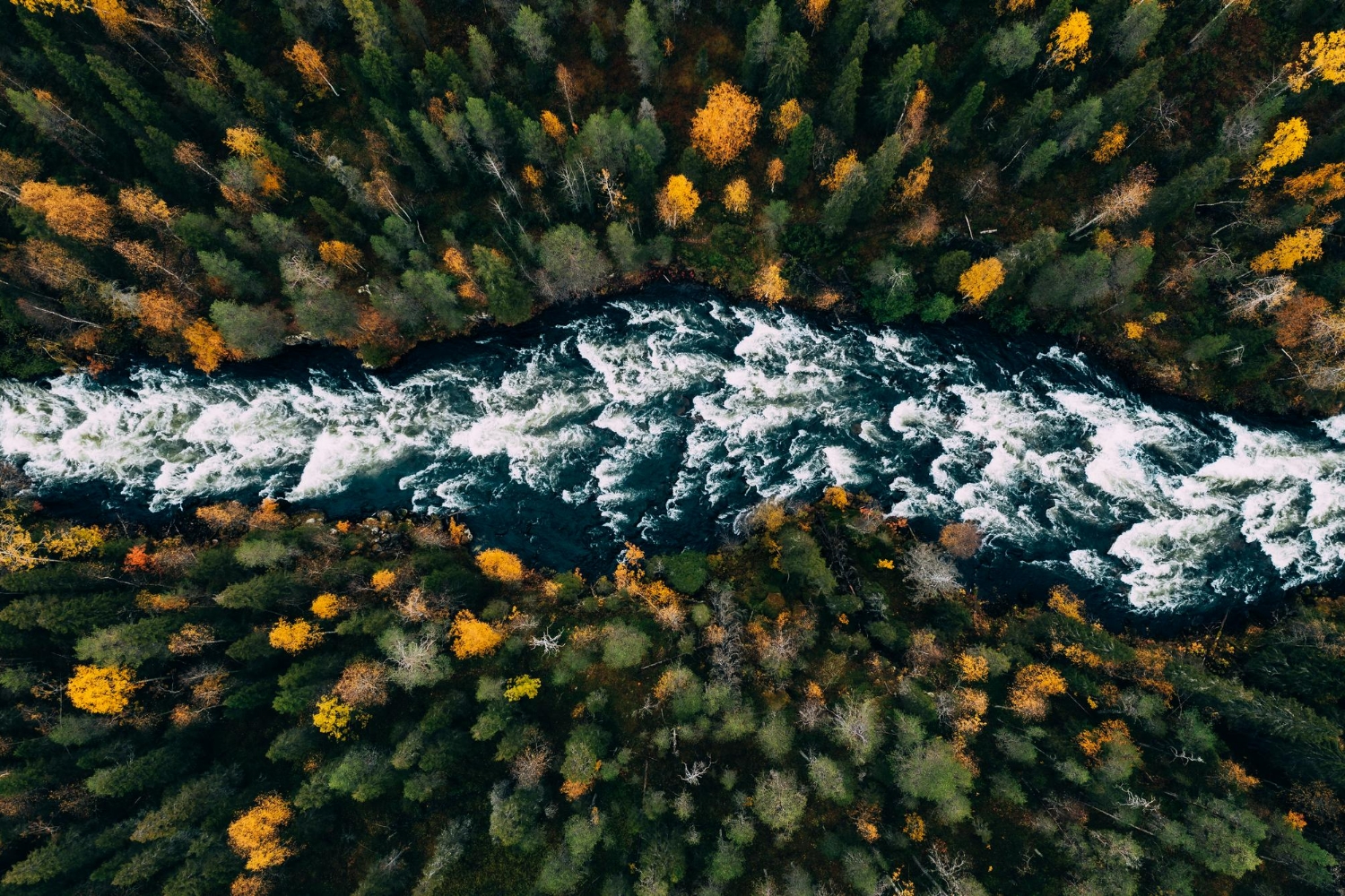 Natural Bonding - Earth Connecting